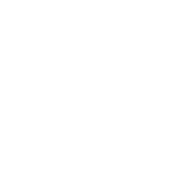 1 Icon