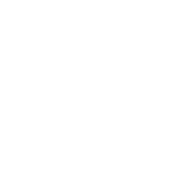 2 Icon