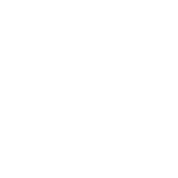 4 Icon