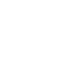 5 Icon