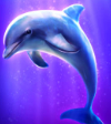 atlantis megaways dolphin