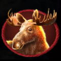 Bison Spirit Symbol Moose