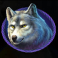Bison Spirit Symbol Wolf