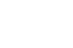 Chainlink Logo