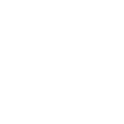 Champions Icon