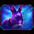 Madame Mystique Megaways Rabbit