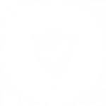 Security Icon