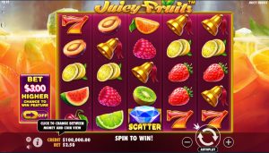 stake-juicy fruits