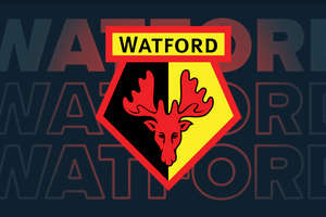 Stake Partner Watford FC