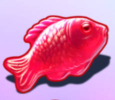 sugar twist fisch rot