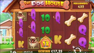 The Dog House Megaways gewonnen