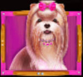 The Dog House Megaways Hund Pink