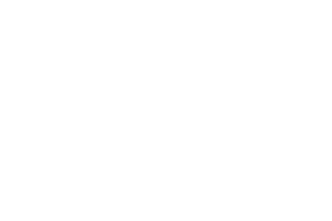 USD Coin Logo